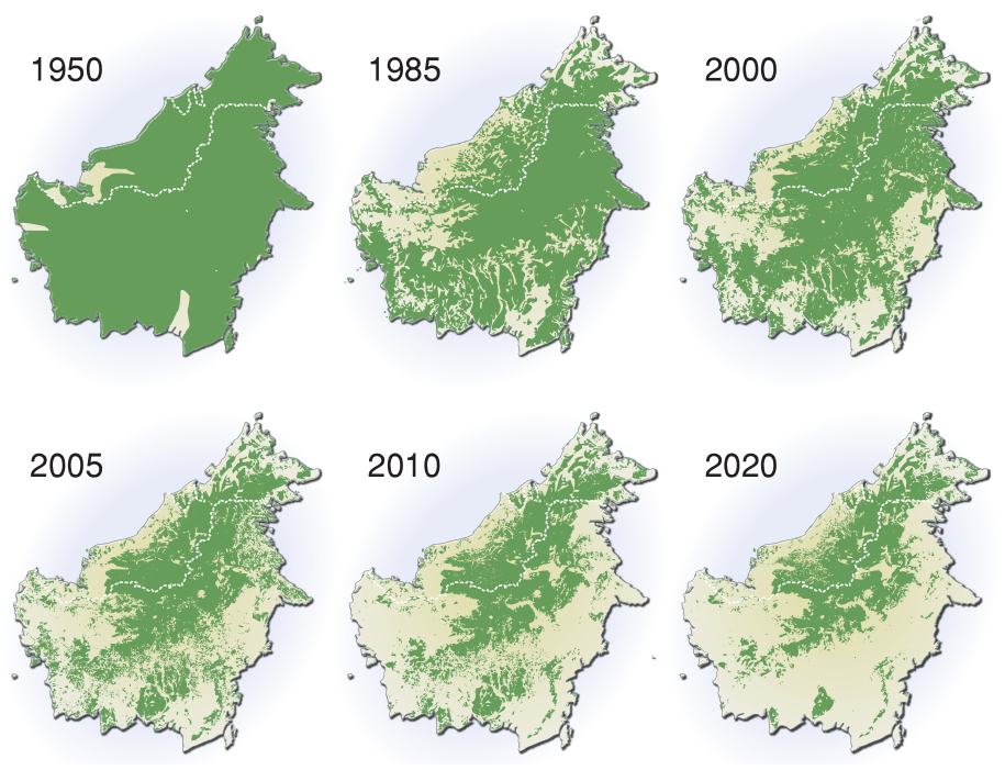 Mapa – úbytok lesa na Borneu od roku 1950 a projekcia do roku 2020