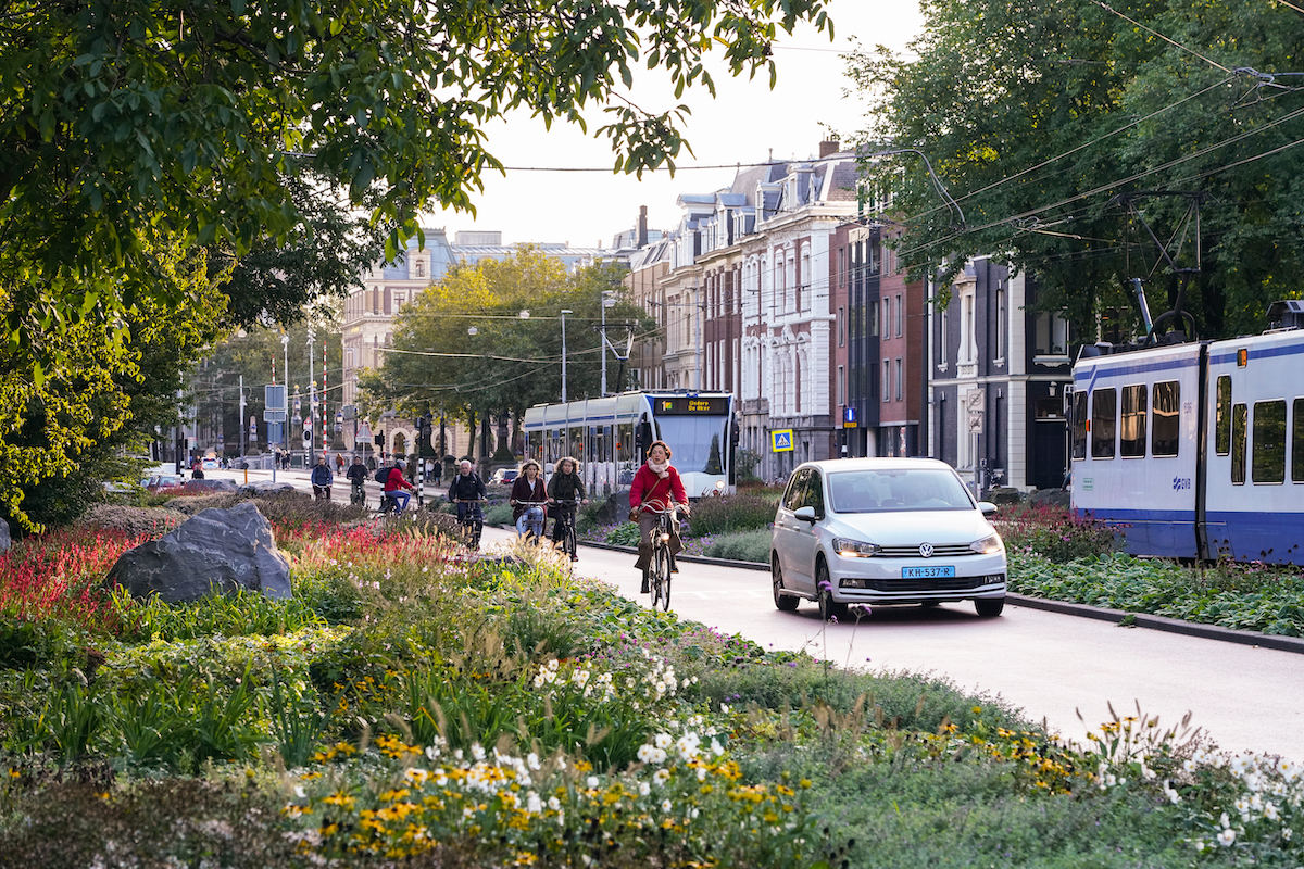 zelený Amsterdam, ilustračný obrázok